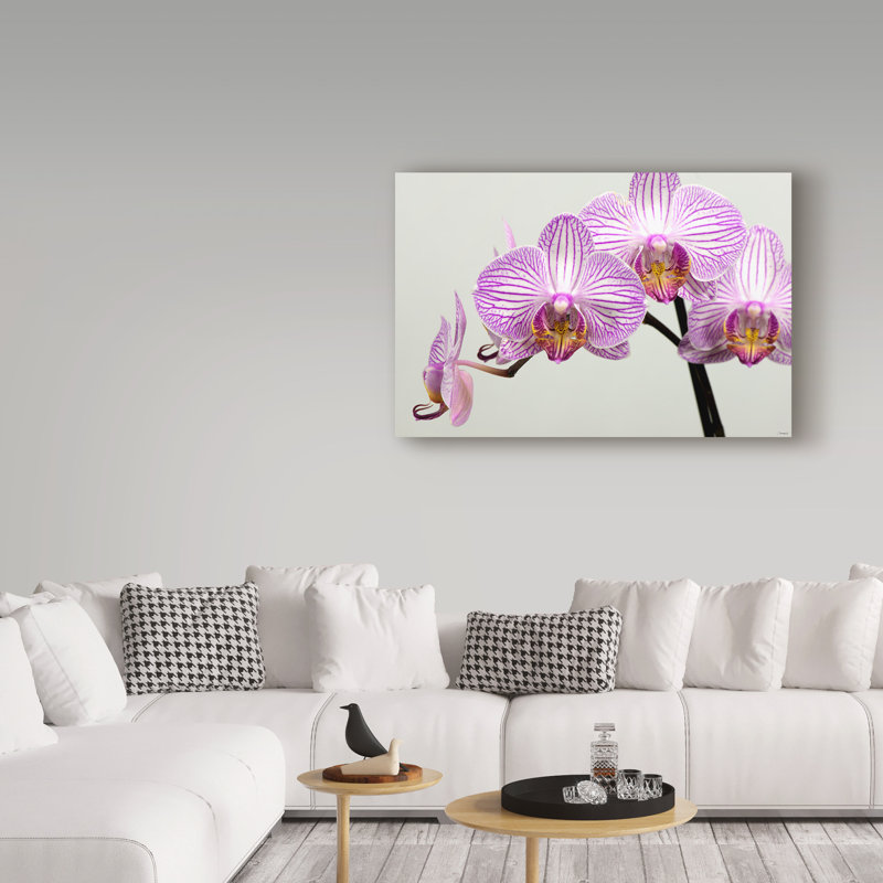 «Orchid Group» par Ailbe, impression sur toile tendue, H 12 po x l 19 po x P 2 po