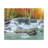 No Frame Print on Canvas