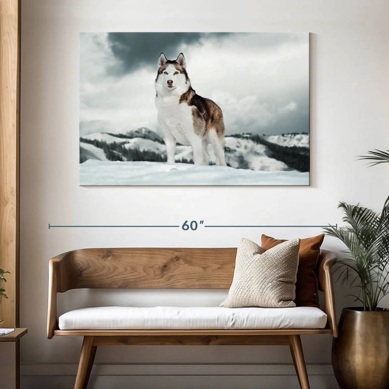 Majestic sibérien Husky, H 32 po x l 48 po