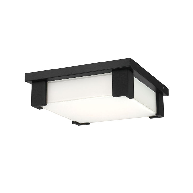 Thornhill, plafonnier, 12 po, noir mat, verre blanc