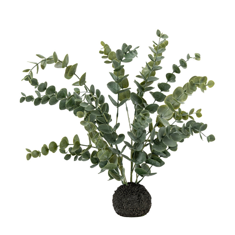 Eucalyptus In Soil Faux Eucalyptus Plant, 51 H x 30 W x 30 D cm