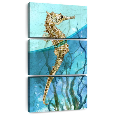 Atlantic Seahorse