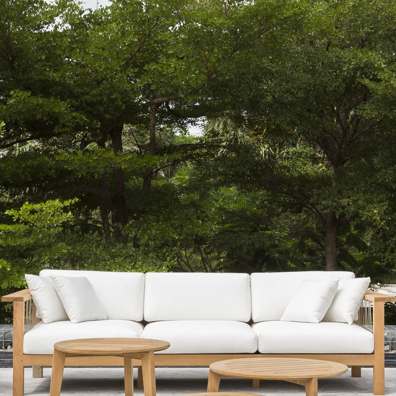 Maro Outdoor 6 - Piece Teak Conversation Set, Canvas Natural Sunbrella® Canvas, 28.75" W x 28.75" L x  14.19" H