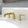 Tolmin Widespread Bathroom Faucet with Drain Assembly