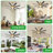 66 inch 8-Blade Ceiling Fan with LED Light Remote App Control Reversible Two-tone Fan Blades Black & Walnut Brozen Fan Body-349555067-349259515
