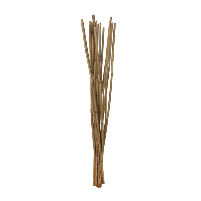 Dunshee Arrangement