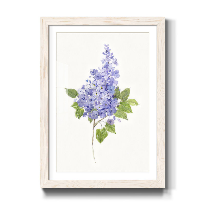 Lilas botanique délicat - impression, H 31,5 po x l 23,5 po x P 1,5 po, Blanc
