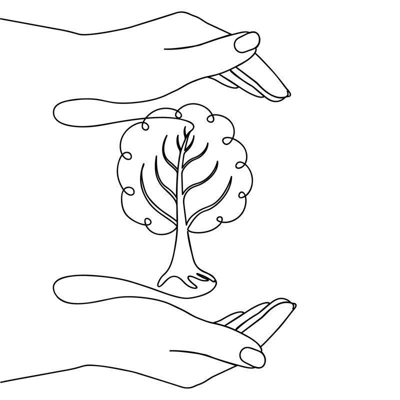 Human Hands Protecting Tree by Ekaterina Zykina - Wrapped Canvas Print, 91cm H x 91cm W x 3.8cm D