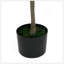 Olive artificielle avec pot-1631018583