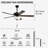Amantha 52'' Ceiling Fan with Light Kit-415893573