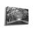 'Wormsloe Inf Light' by Mike Jones, Giclee Canvas Wall Art-1453510465
