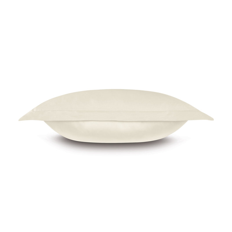 Deluca 100% Cotton Pillow Sham, King, Ivory