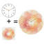 Horloge murale silencieuse en verre trempé de 30 cm, « Horloge florale décorative », sans tic-tac, fonctionne avec des piles AA (non incluses), décoration artistique pour la maison