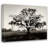 Artsy Quote "Sarcasm is a Manchester trait." By Peter Hook Gallery Wrapped Canvas