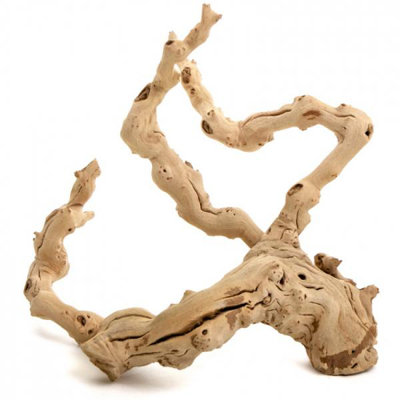 Alden Landscape & Nature Figurines & Sculptures