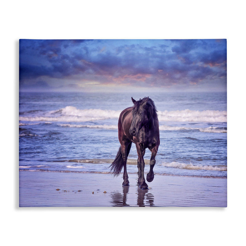 Wild Horse on Beach Blue Sunset Canvas Print