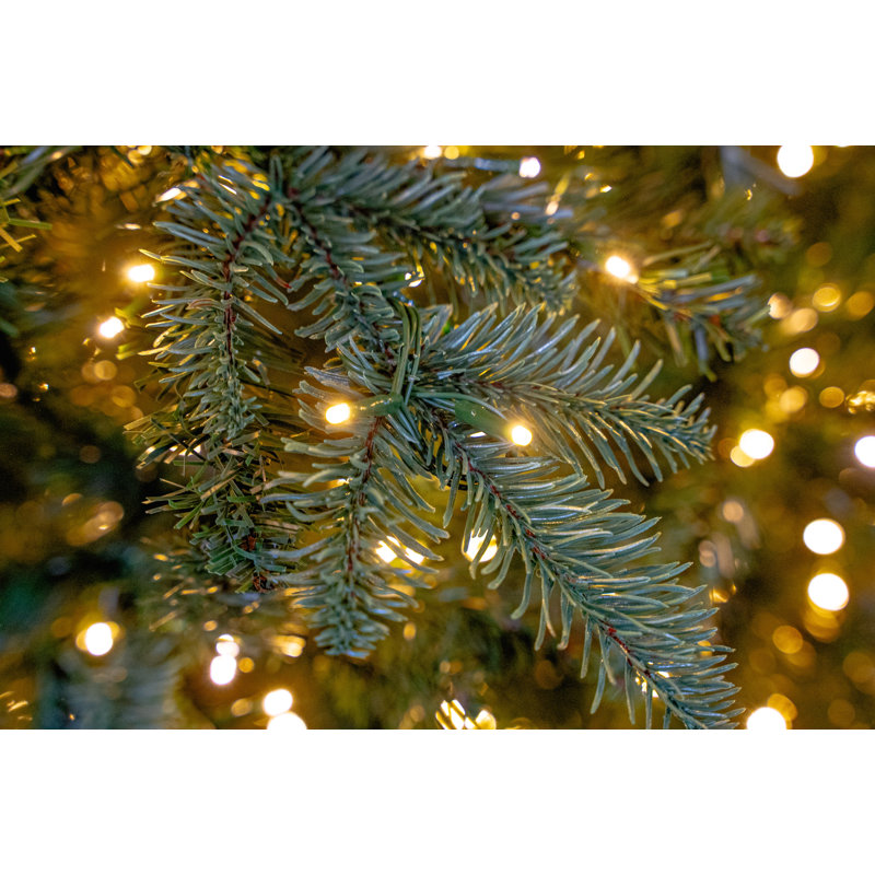 EATON FIR 8.5 H Christmas Tree, 8.5' H, Yes