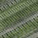 Premium Machine Washable Cerrito AMF589 Green Rug