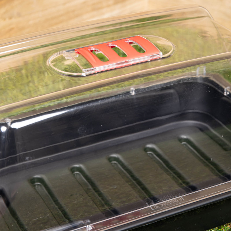 4 X 38Cm Unheated Seed Starter Tray Grostart Midi Propagator Indoor Seedling Planter Propagation Mat