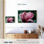 Fleur de magnolia Harnek en fleurs-107858932