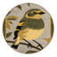  Tapis lavable européen Greenfinch Birds-1198037183
