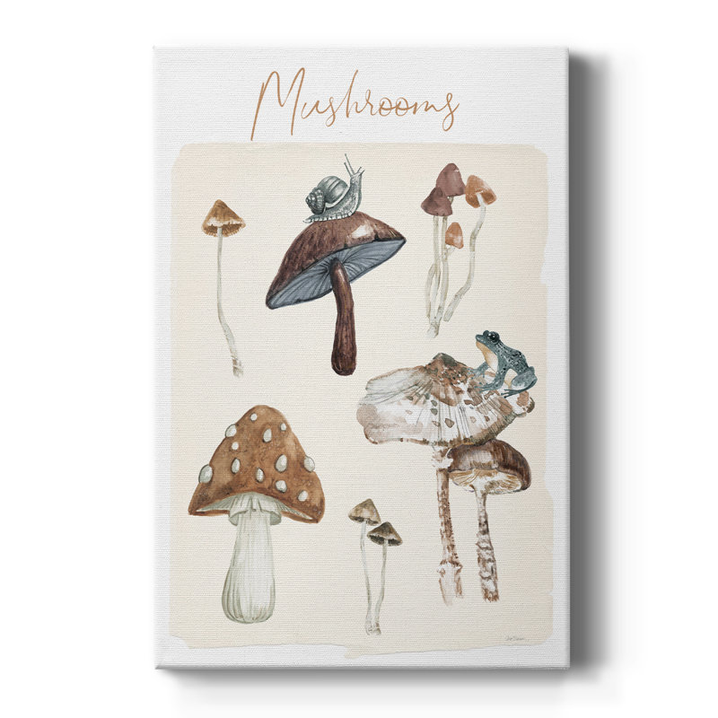 Mushroom Chart -Gallery Wrapped Cavas, 36" H x 24" W