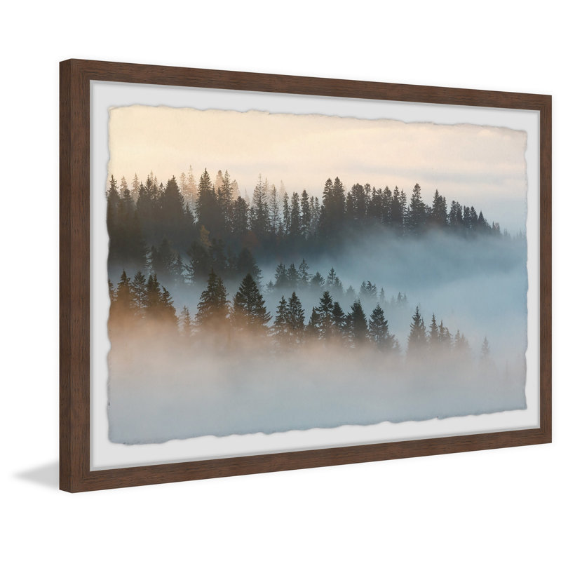 «Morning at the Forest» par Marmont Hill - reproduction d'art sur papier encadrée, H 16 po x l 24 po x 1,5 po