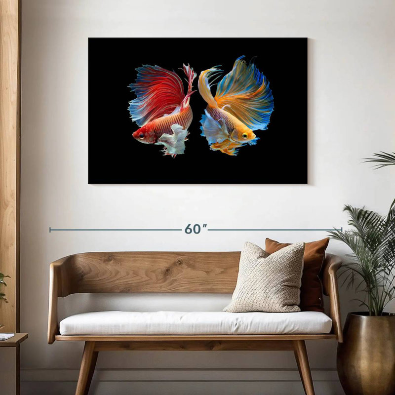 Betta Fish In Sync, H 30 po x l 45 po