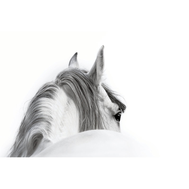 " Black And White Horse ", 32" H x 48" W, No, Black Framed Canvas