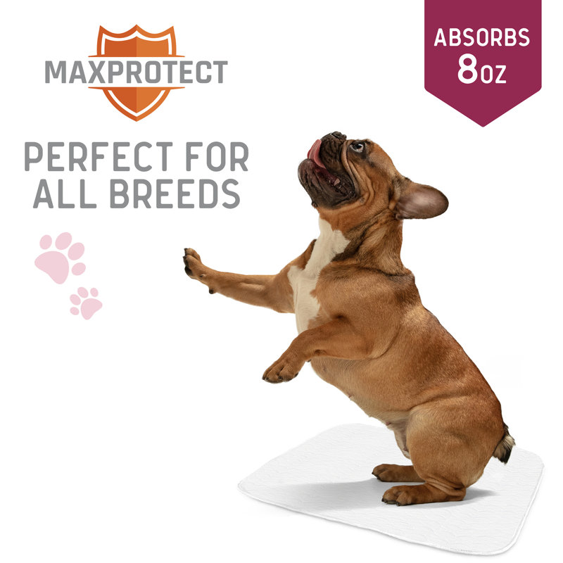 Cotton Pet Bed, Extra Large (36" W x 34" D x 0.5" H)