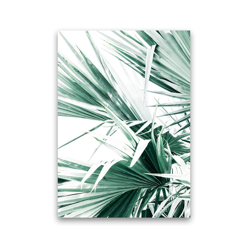 Palm Leaves II by Victoria Frost - Print, Unframed, 42cm H x 30cm W x 1cm D