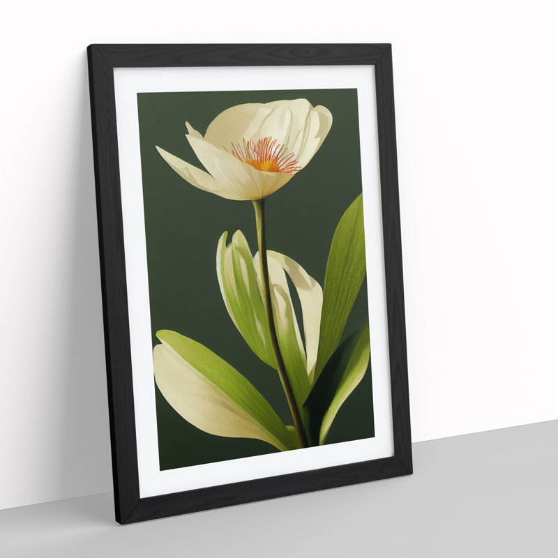 A Seductive Flower - Single Picture Frame Print, Black, 64cm H x 46cm W x 2cm D