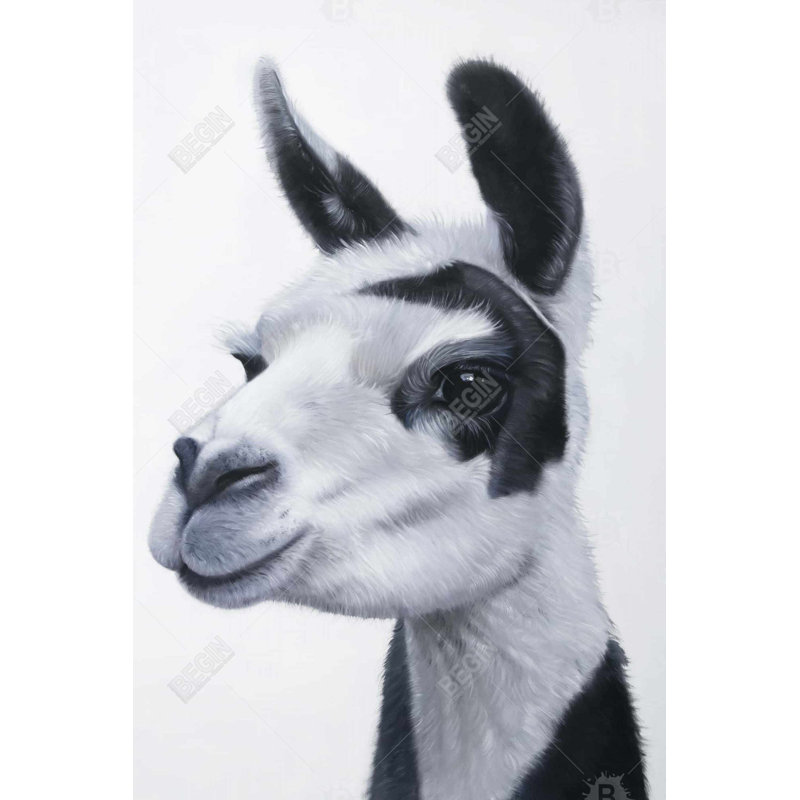 " Black & White Lama ", 36" H x 24" W
