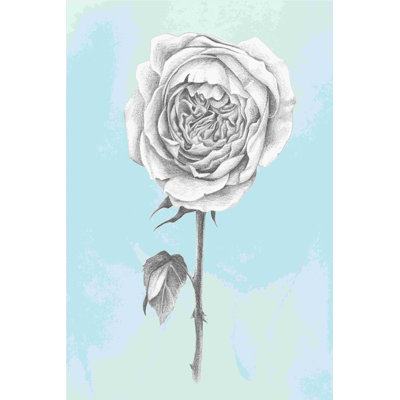 Graphite rose I