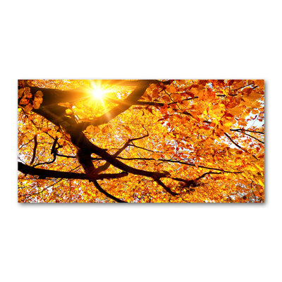 Crown of Autumn Trees 1 Piece Wrapped Canvas Wall Art