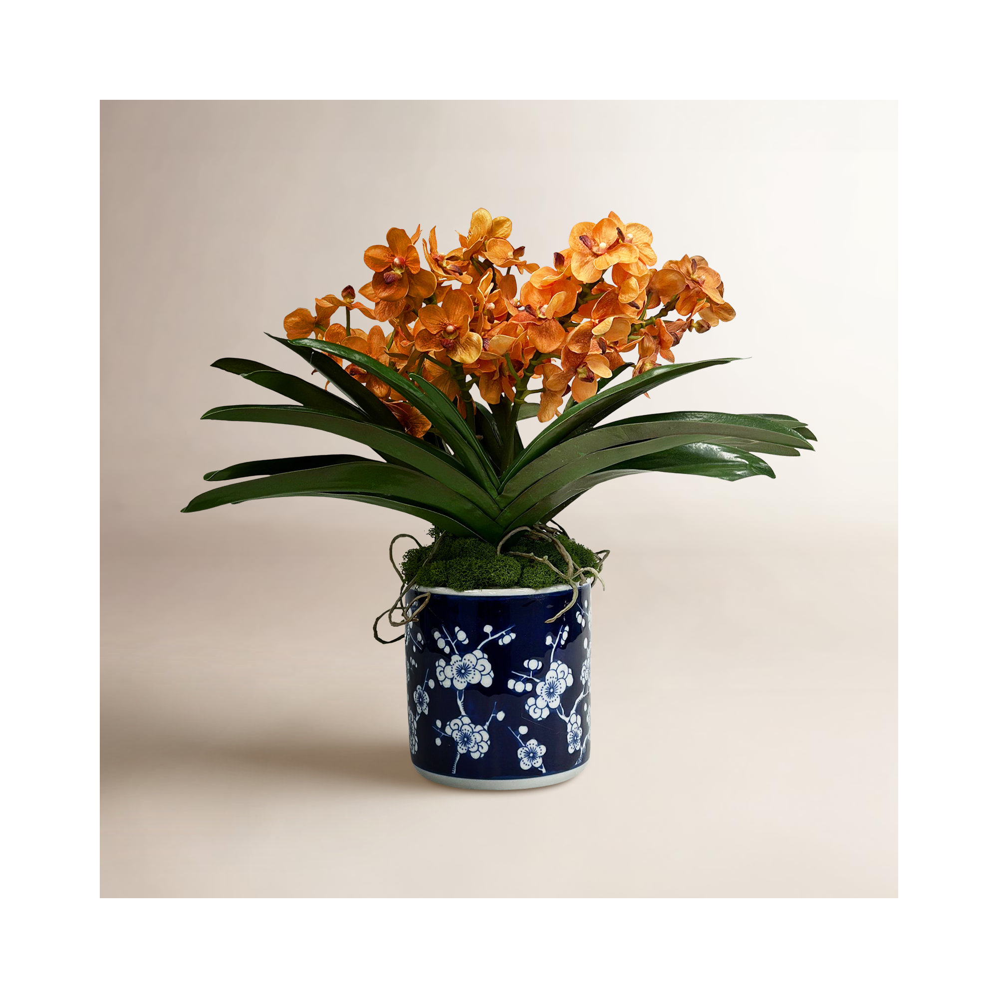 Arrangement in Vase