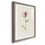 Mauve Garden Flowers VI - peinture encadrée-955008962-955008963