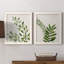 Botanical Wash I - ensemble de 2 reproductions-463140509-463140521-463140523