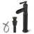 Oil Rubbed Bronze
