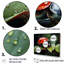 Curious Ladybug Crimson Serenity II-241883886-241883872