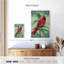 Brampt, cardinal de Virginie-108381652