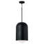 Dolby Single Light Glass Dimmable Pendant