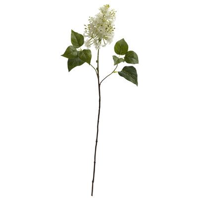 Lilac Stem
