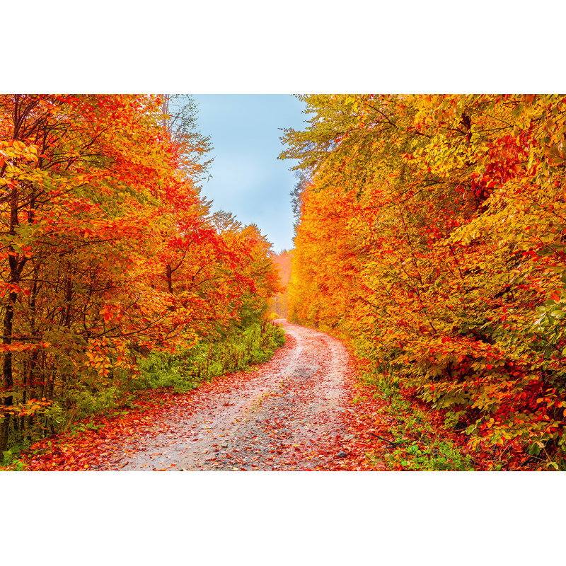 «Golden Path - Vibrant Autumn Road», art sur toile