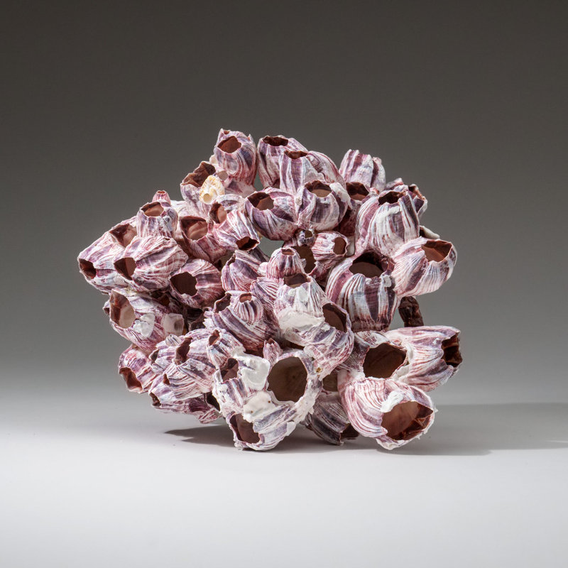 Shell Stone Decorative Object