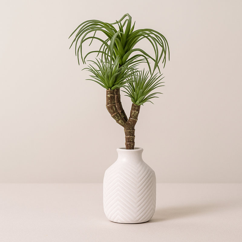 Air Plant Succulent Pick