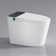 Modern Smart Toilet with Bidet, Auto Open/Close, Foot Sensor, LED Display, Warm Water & Dryer