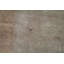 Hand-Knotted High-Quality Beige Area Rug
