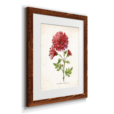 Zen Succulent III - Cadre photo, reproduction d'art sur papier