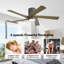 Ventilateur de plafond 48 po à 5 pales en bois massif avec ensemble d'éclairage et télécommande-1275035812-1252599375